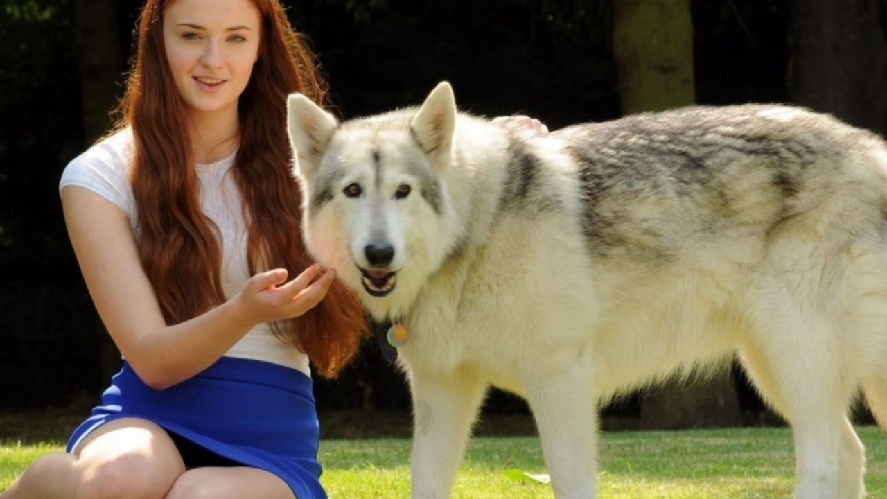 Прекрасная актриса Софи Тернер