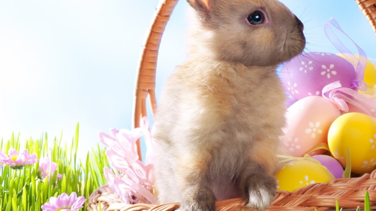 Кролик в корзине на Пасху