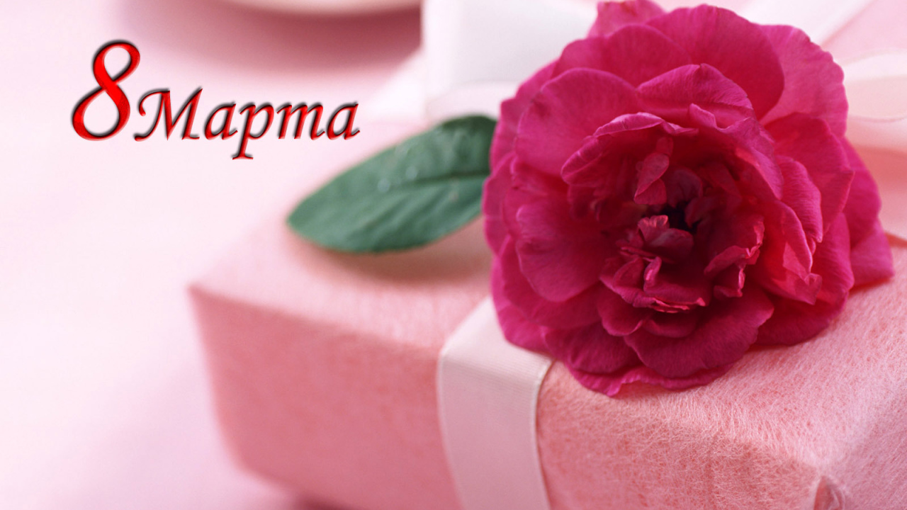 Красивый подарок на 8 марта