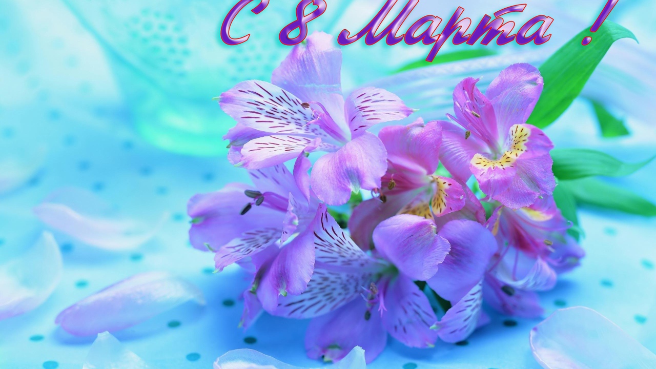 Сиреневые цветы на 8 марта