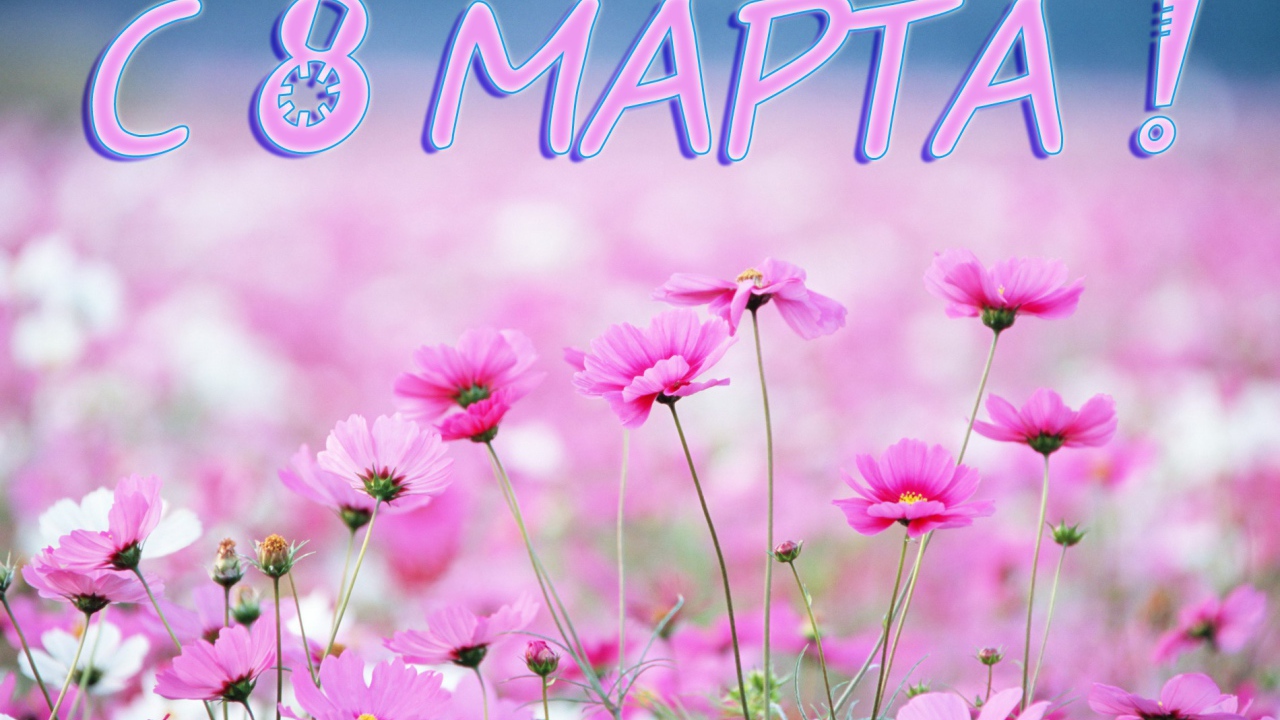 Луговые цветы на 8 марта