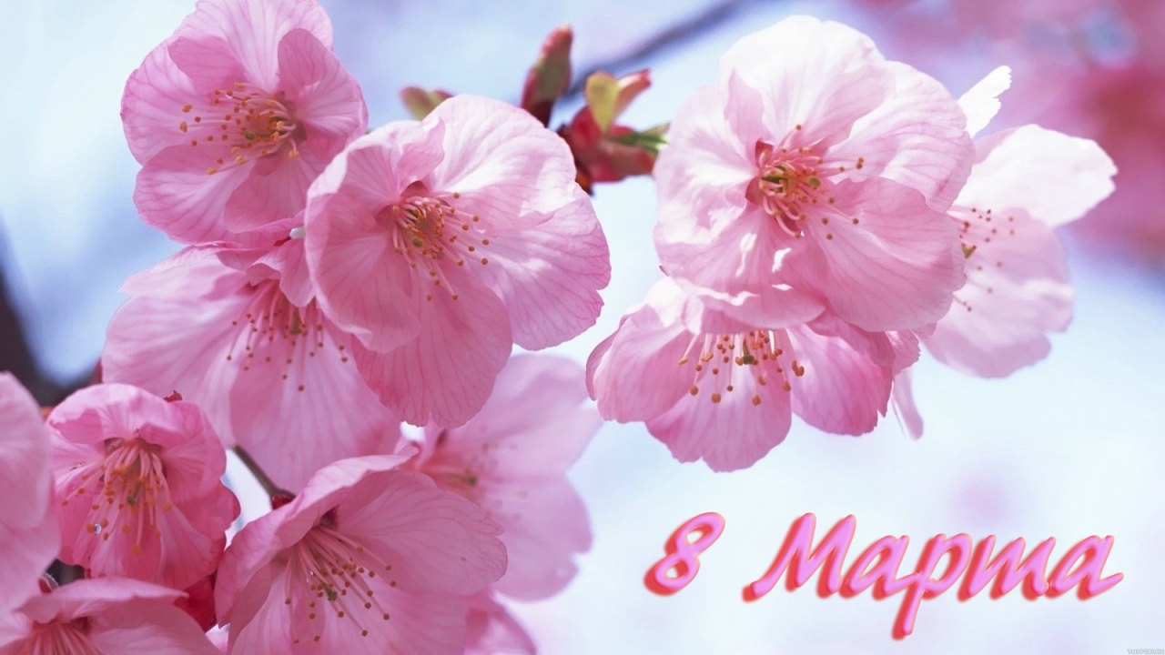Розовые цветы на 8 марта