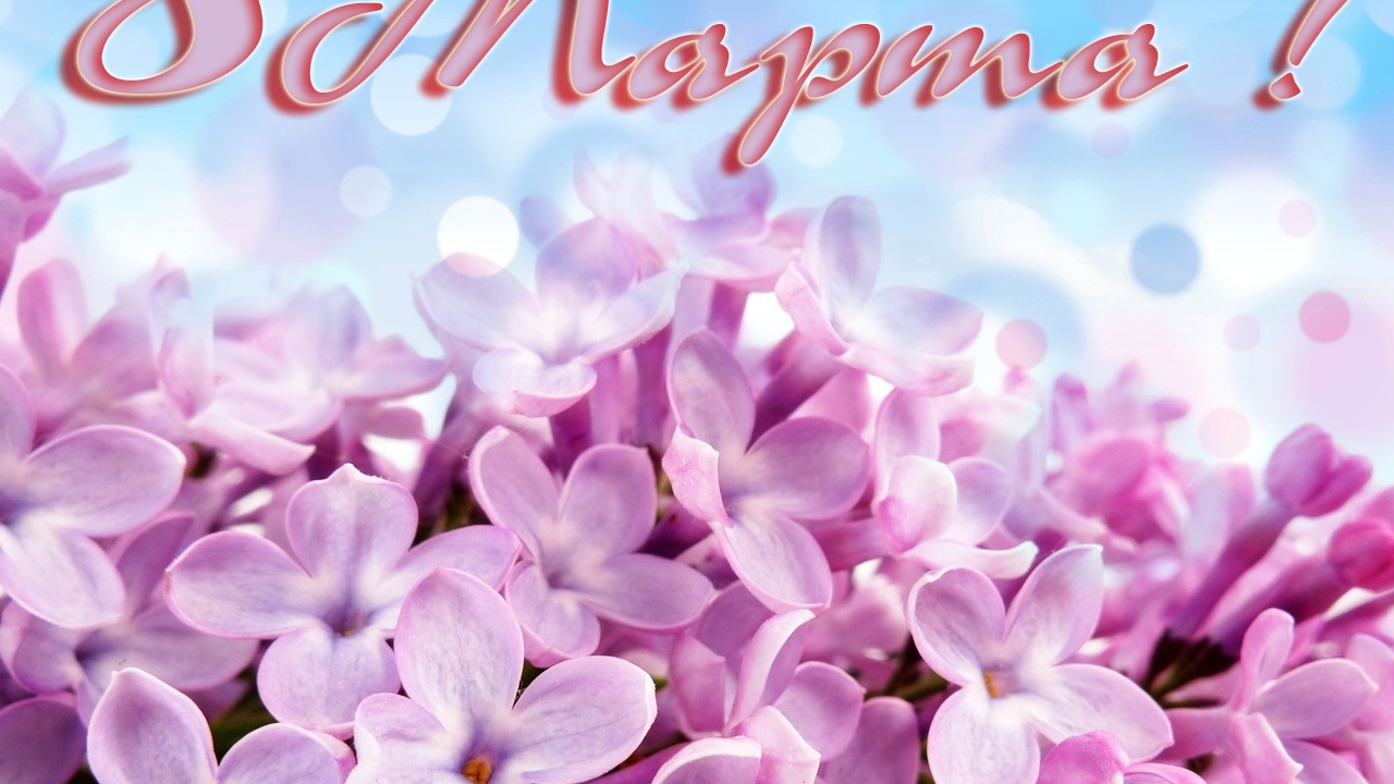 Первоцвет на 8 марта