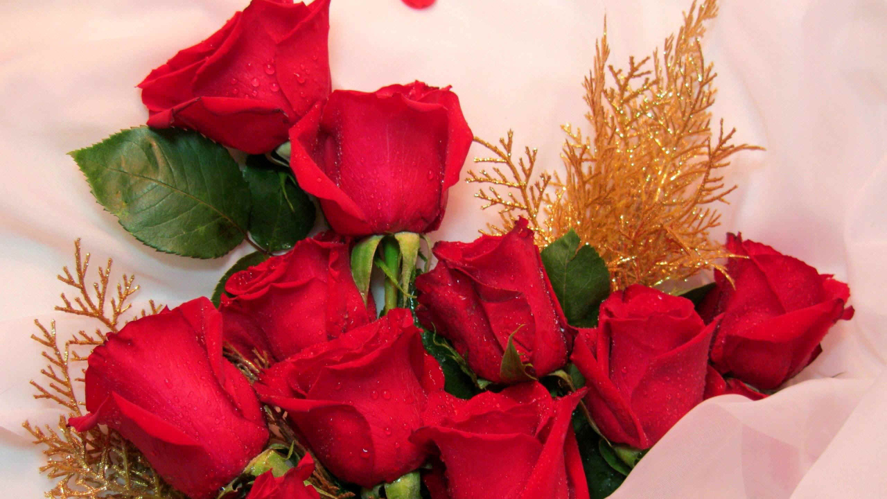 Красные розы для женщин на 8 марта