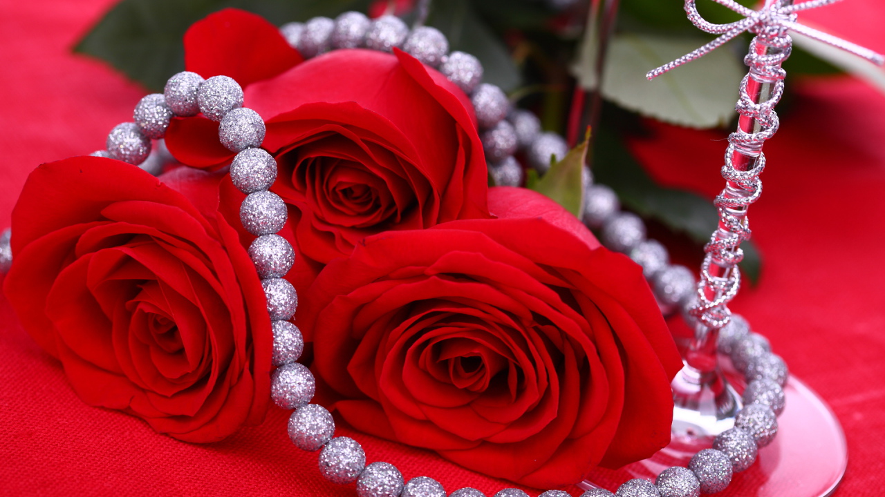 Красные розы на 8 марта на красном фоне