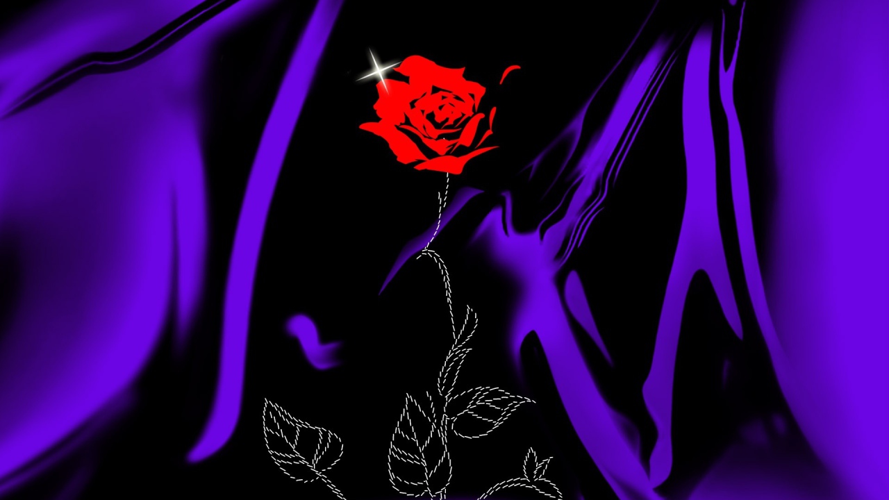 Роза на сиреневой ткани на День Святого Валентина