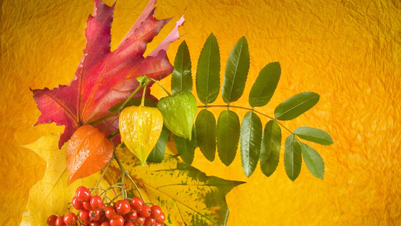 Осенний букет в День знаний 1 сентября