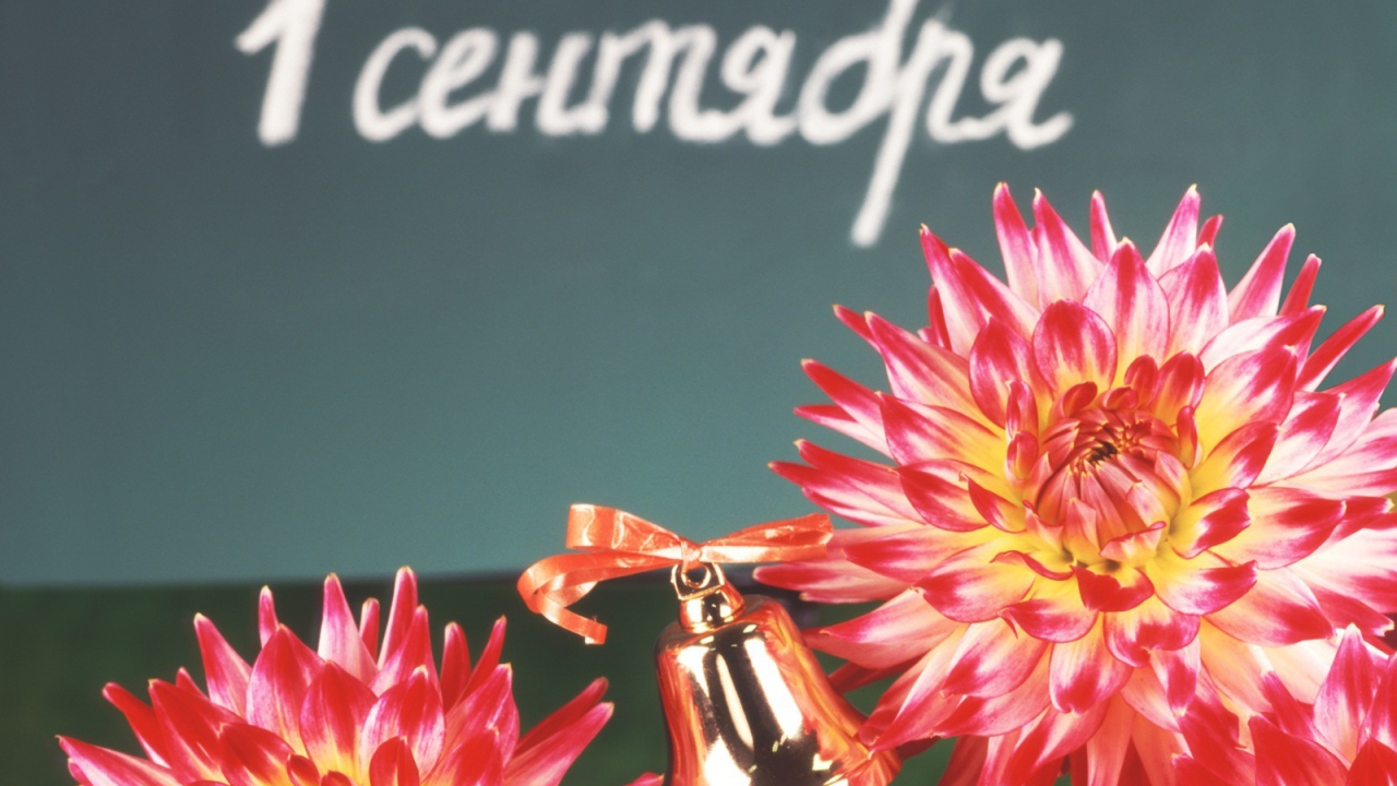 Праздник знаний День знаний 1 сентября