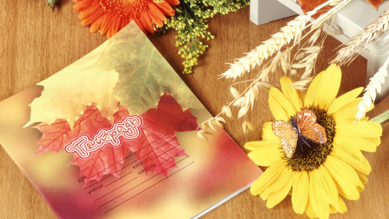 Школьная тетрадь в День знаний 1 сентября