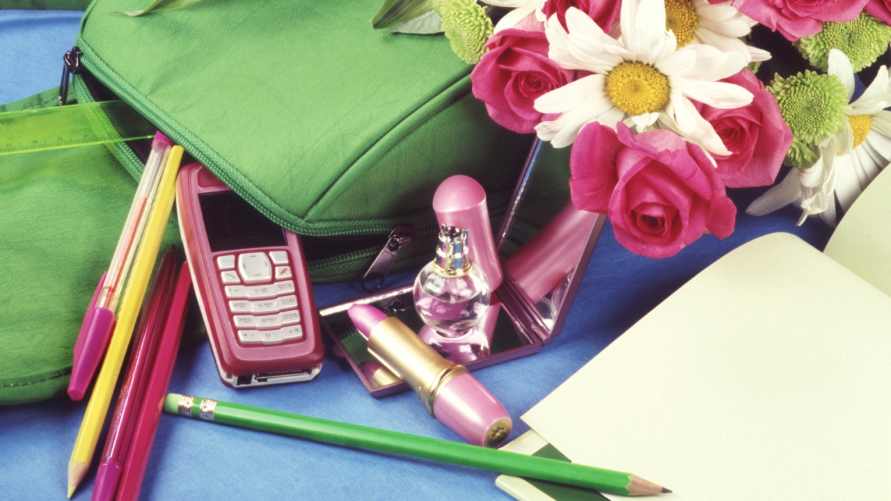 Школьный портфель в День знаний 1 сентября