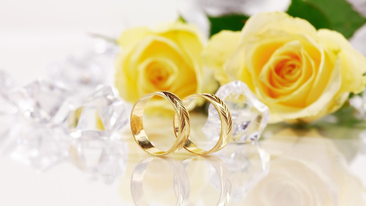 Yellow roses and gold wedding rings