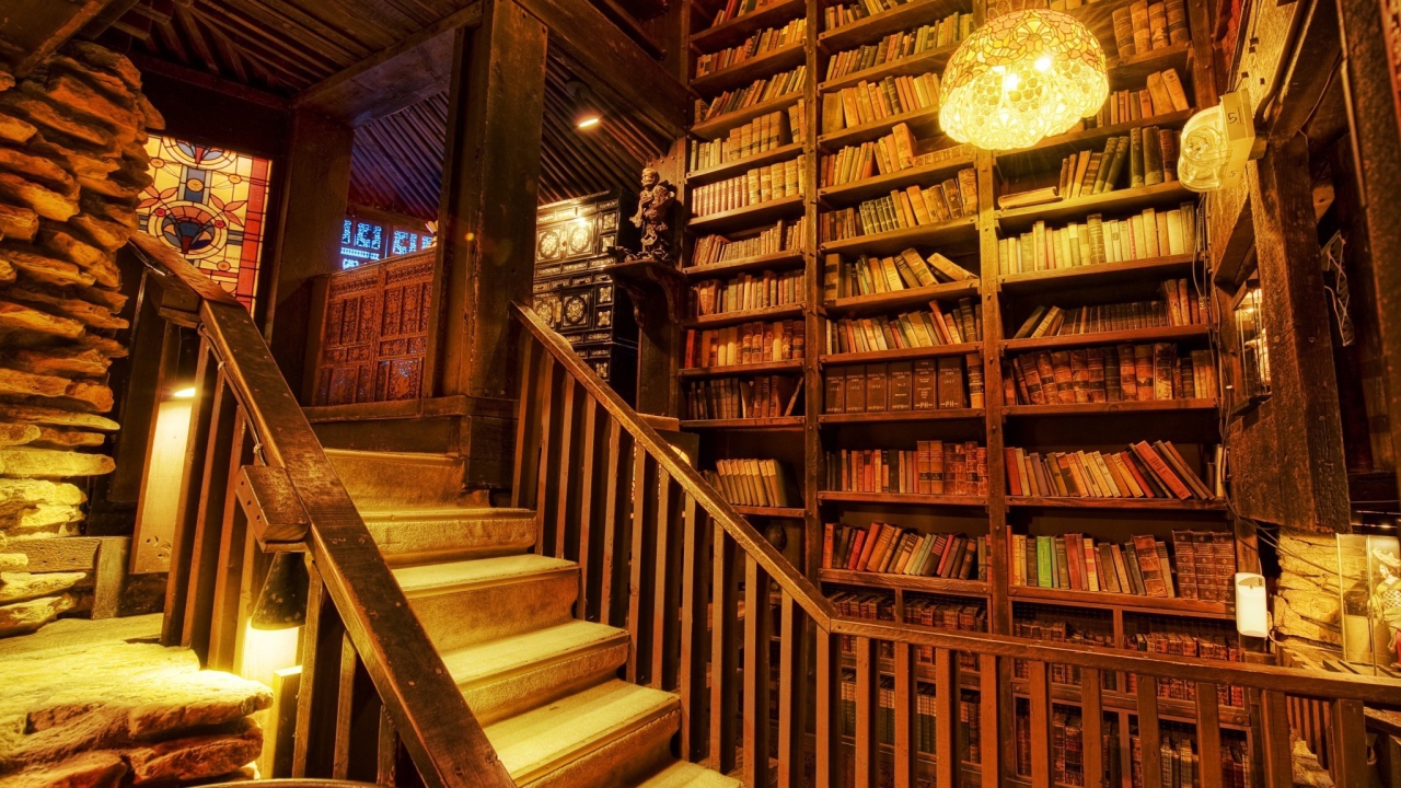 Полки с книгами в библиотеке