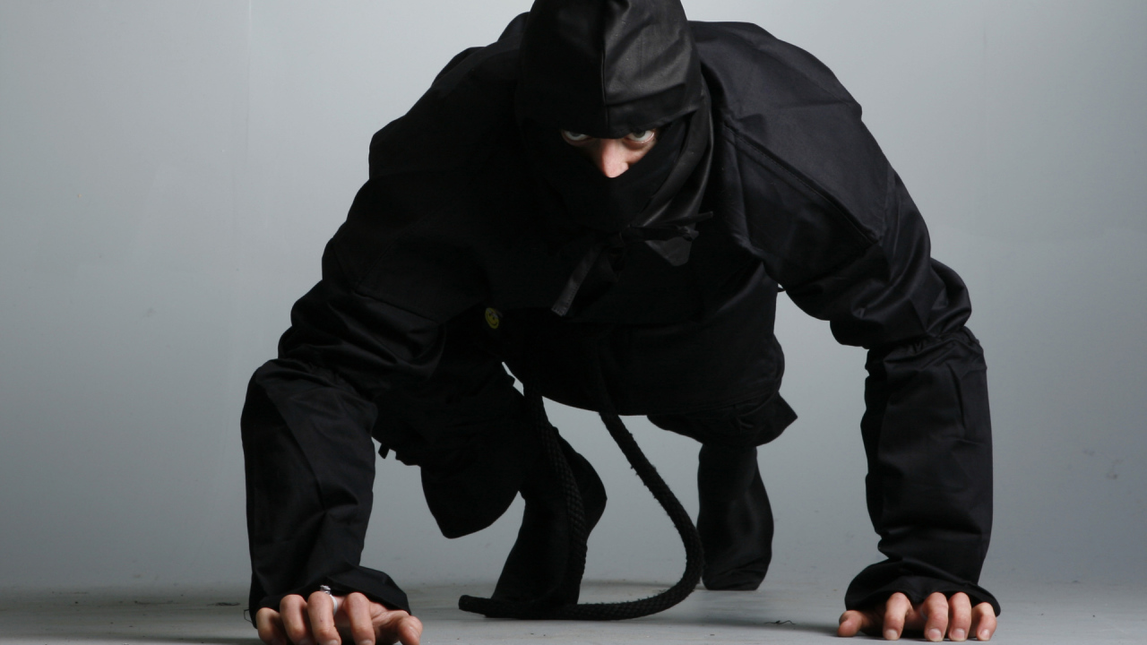 Ниндзя в боевой стойке