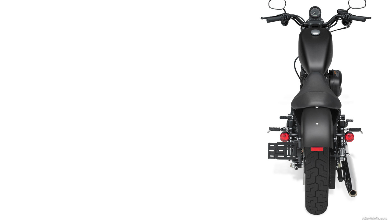 Красивый мотоцикл Harley-Davidson XL 883N Sportster Iron