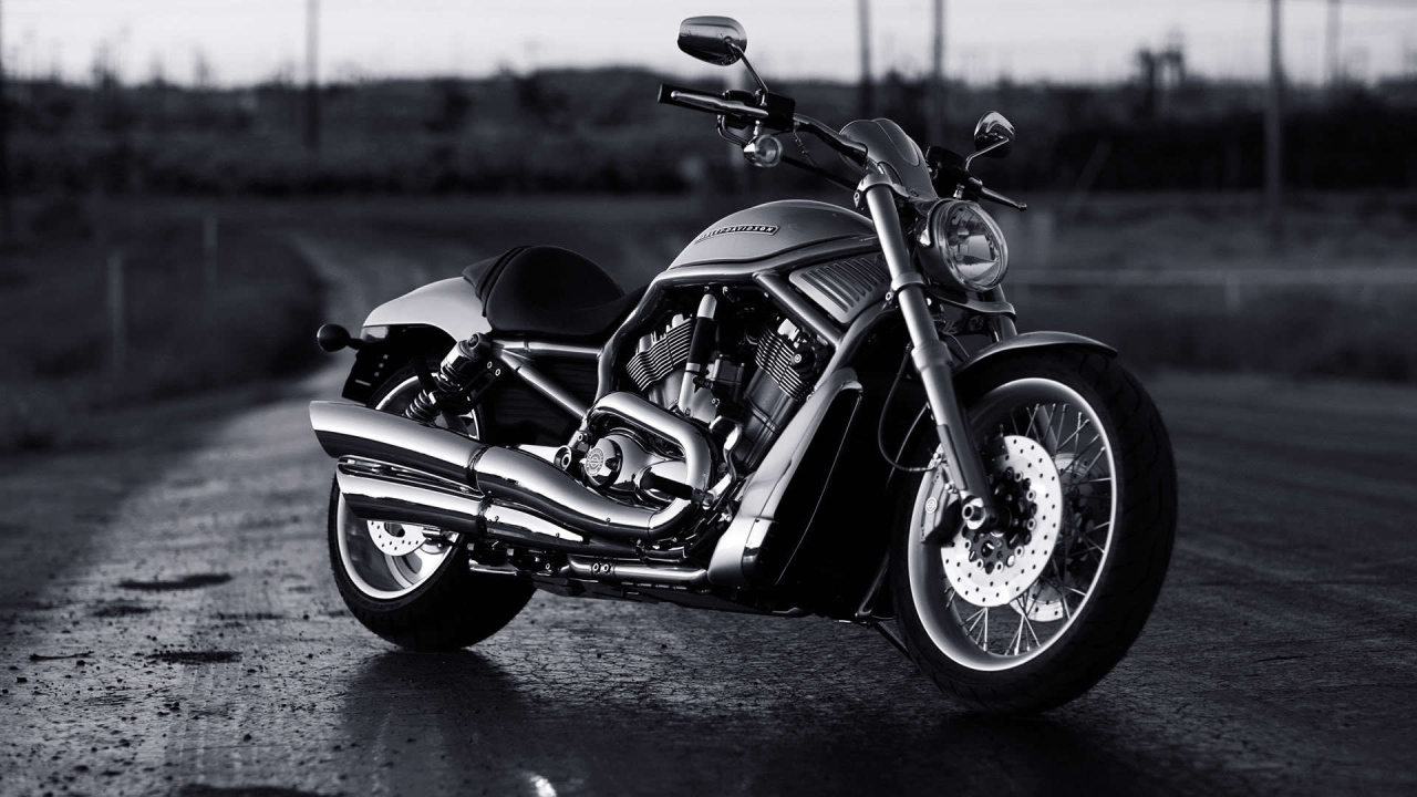 Новый надежный мотоцикл Harley-Davidson V-Rod Muscle