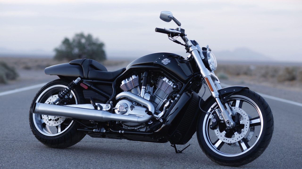 Популярный мотоцикл Harley-Davidson V-Rod Muscle