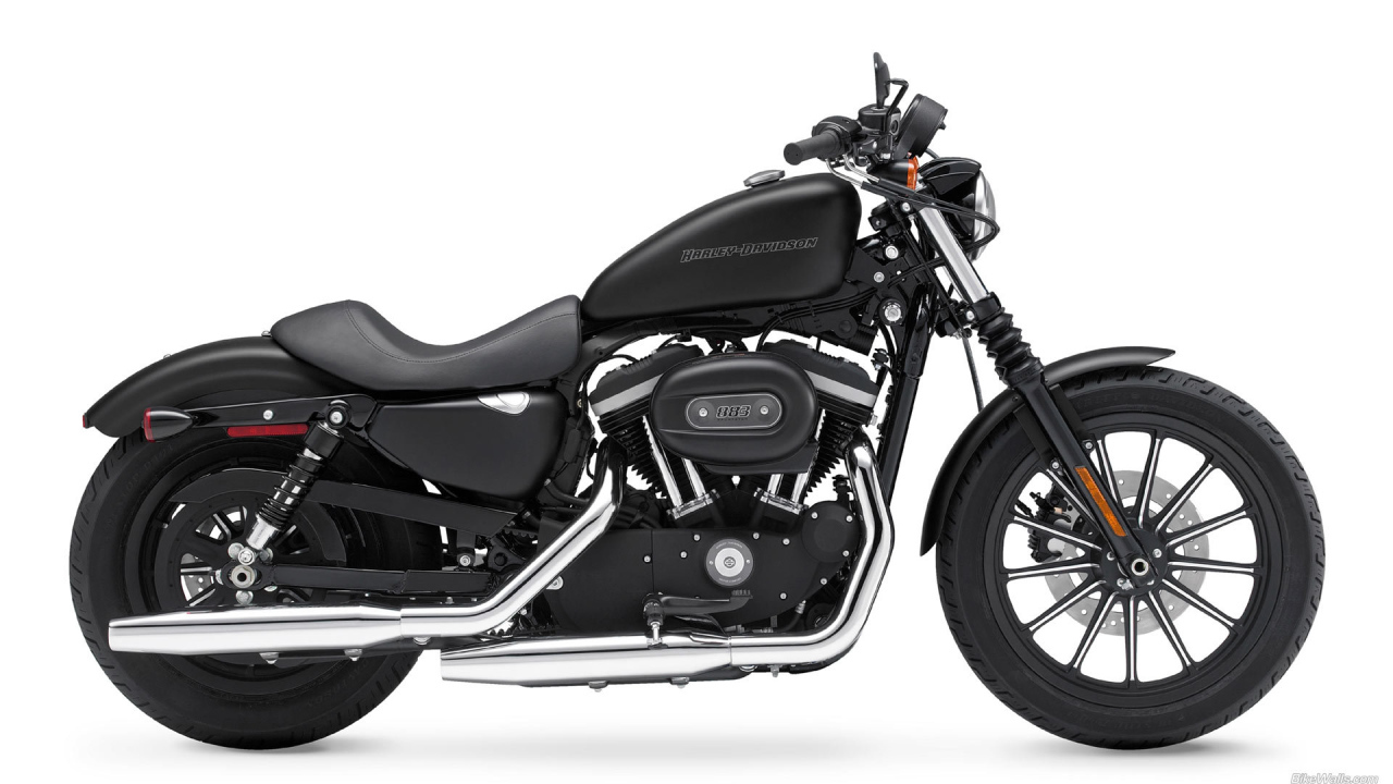 Тест-драйв мотоцикла Harley-Davidson XL 883N Sportster Iron