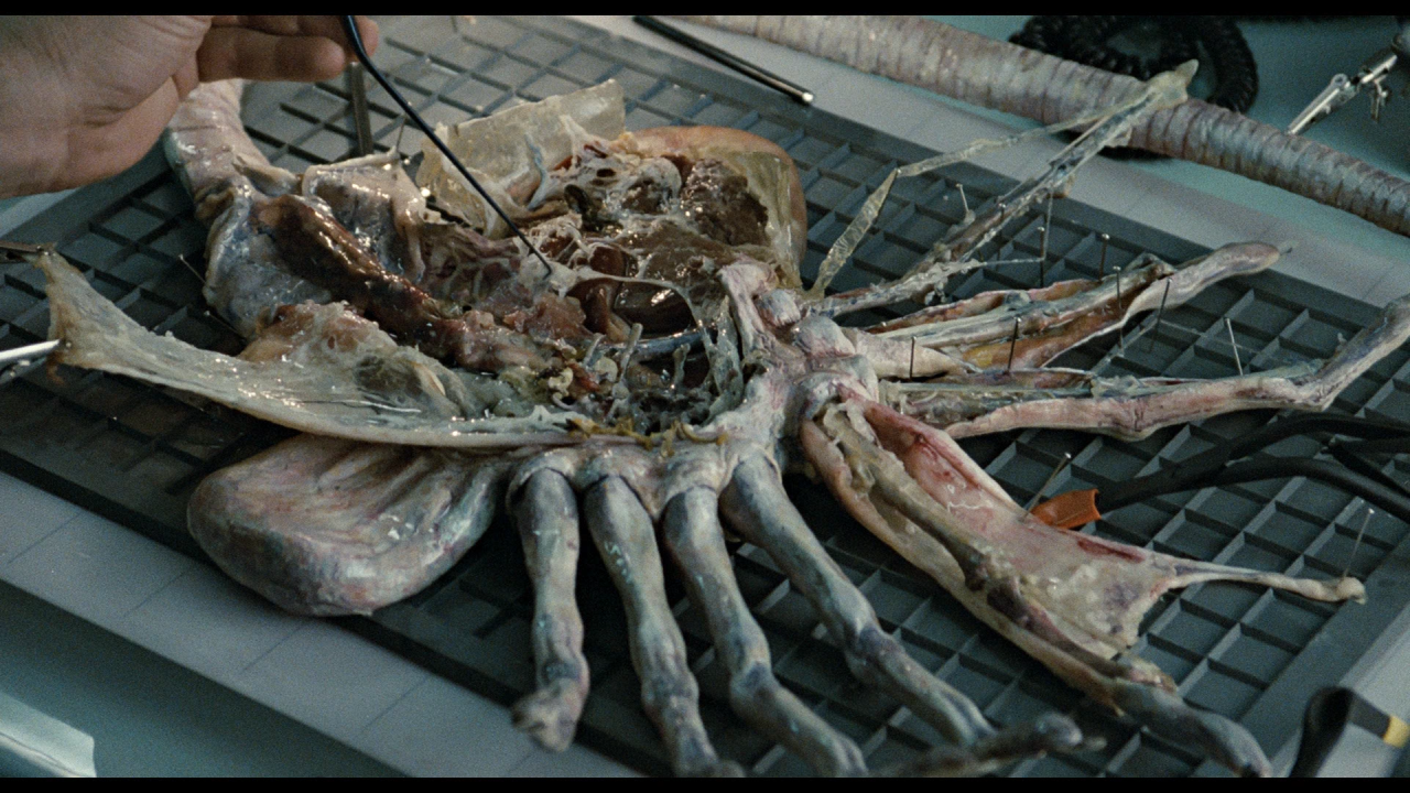 Кино 80-й пришелец