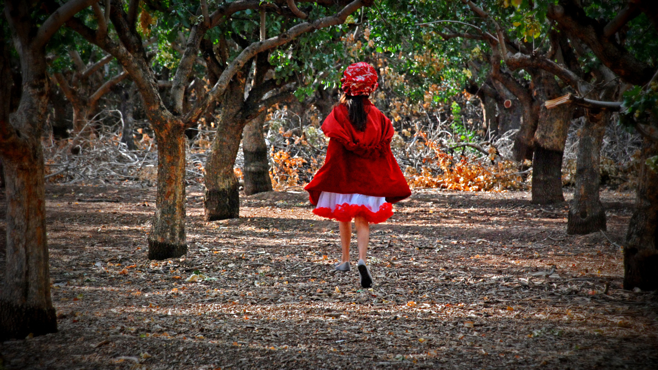 Фильм - В лес