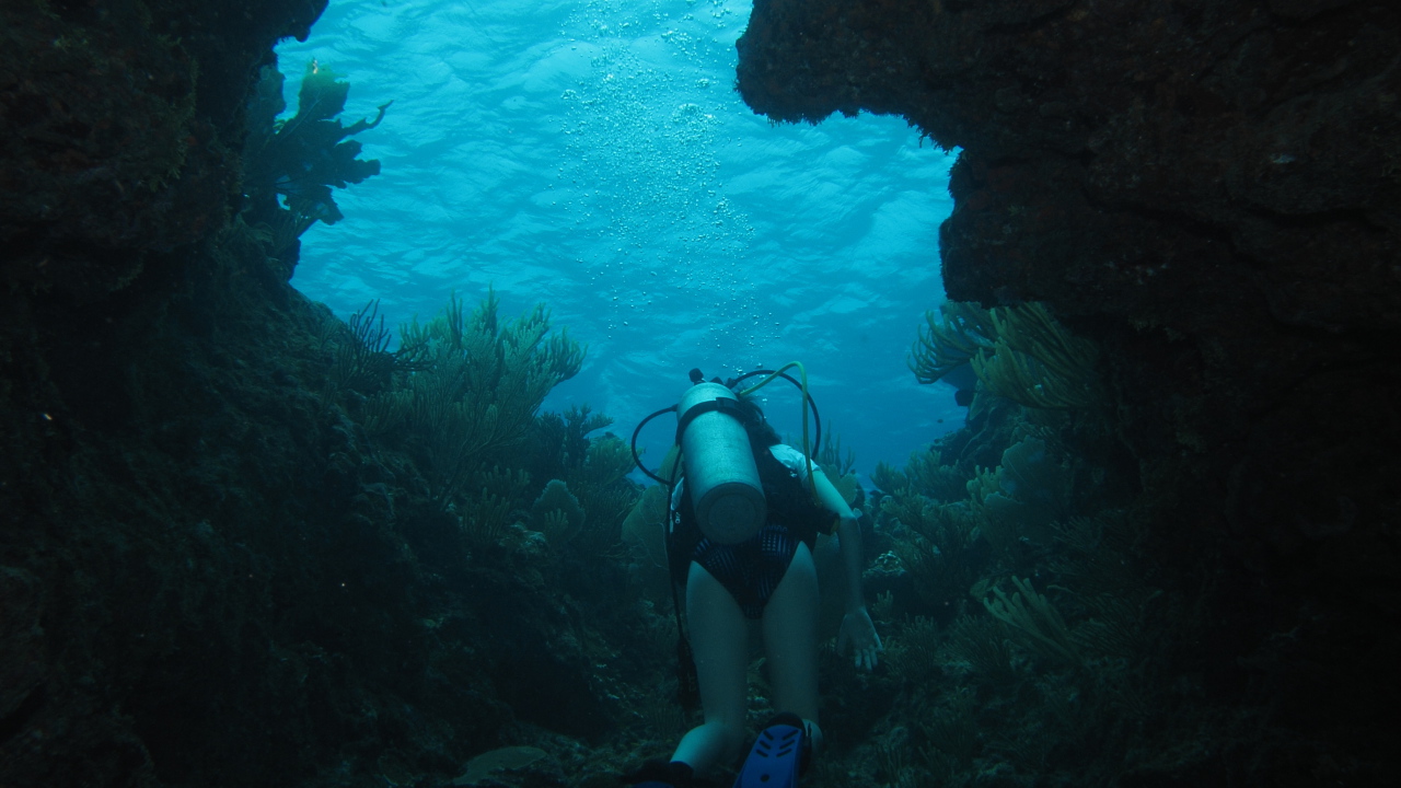 Тайна двух океанов