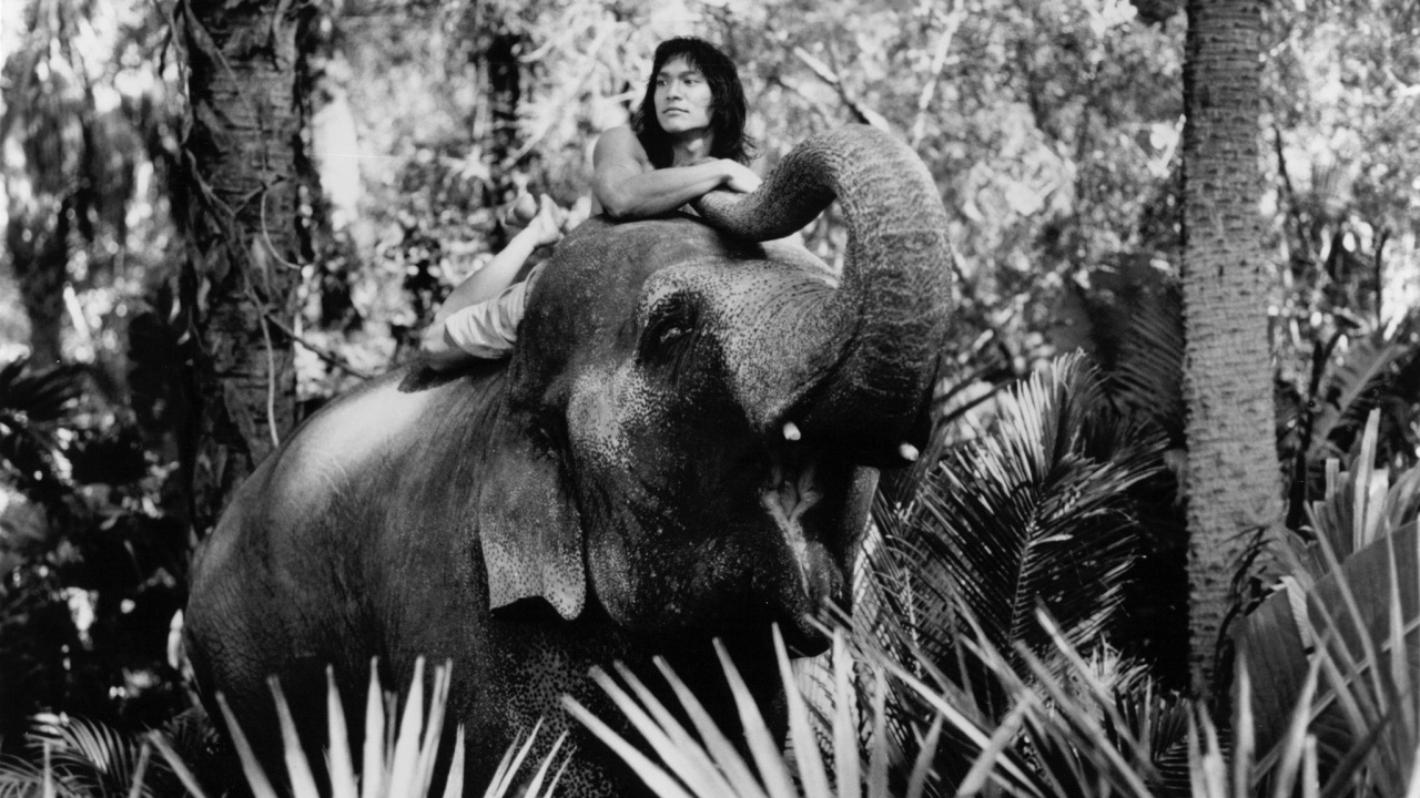 Книга джунгле