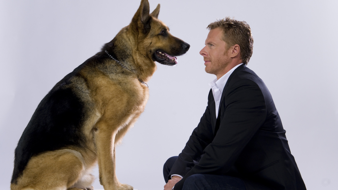  Комиссар Рекс