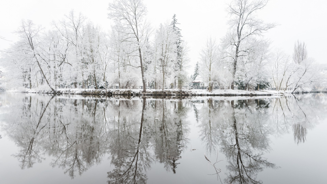 Oтражения деревъев в снегу