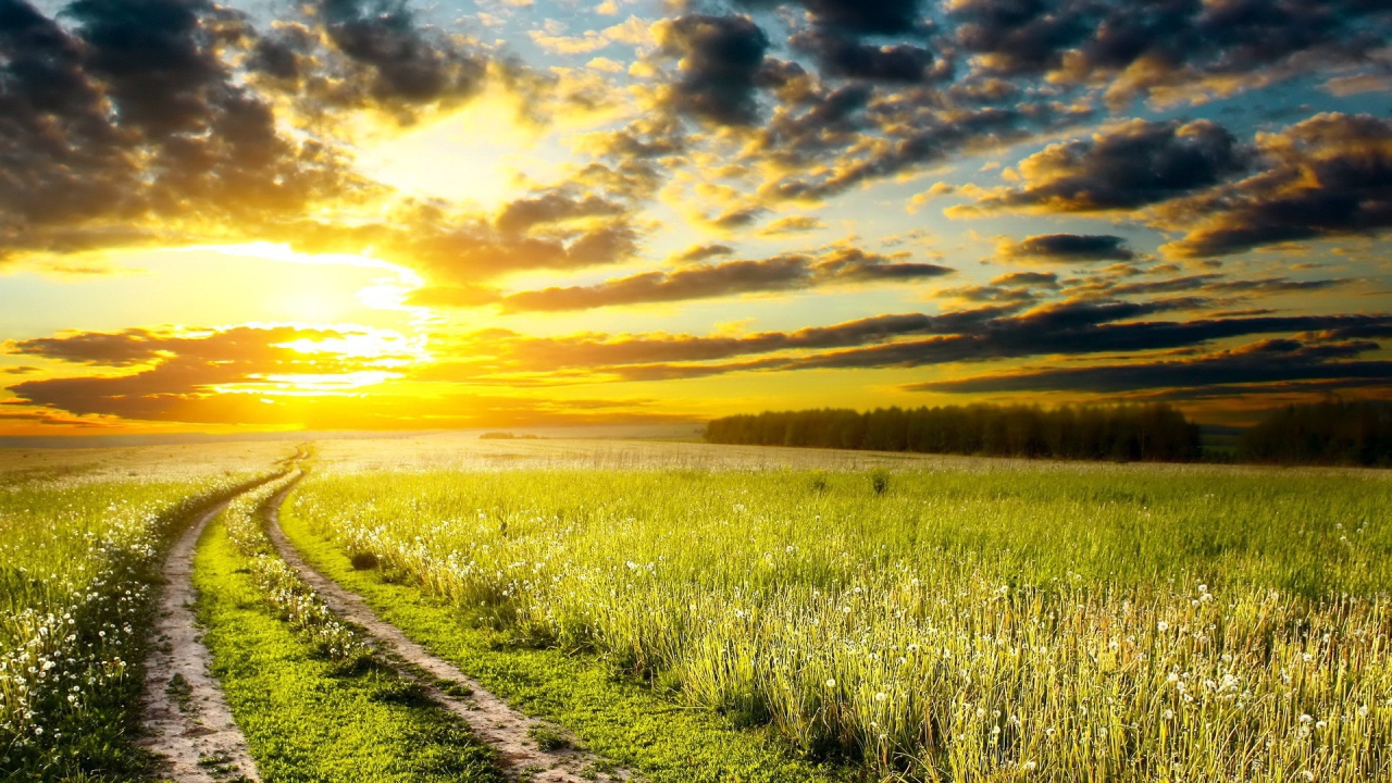 Дорога на закат