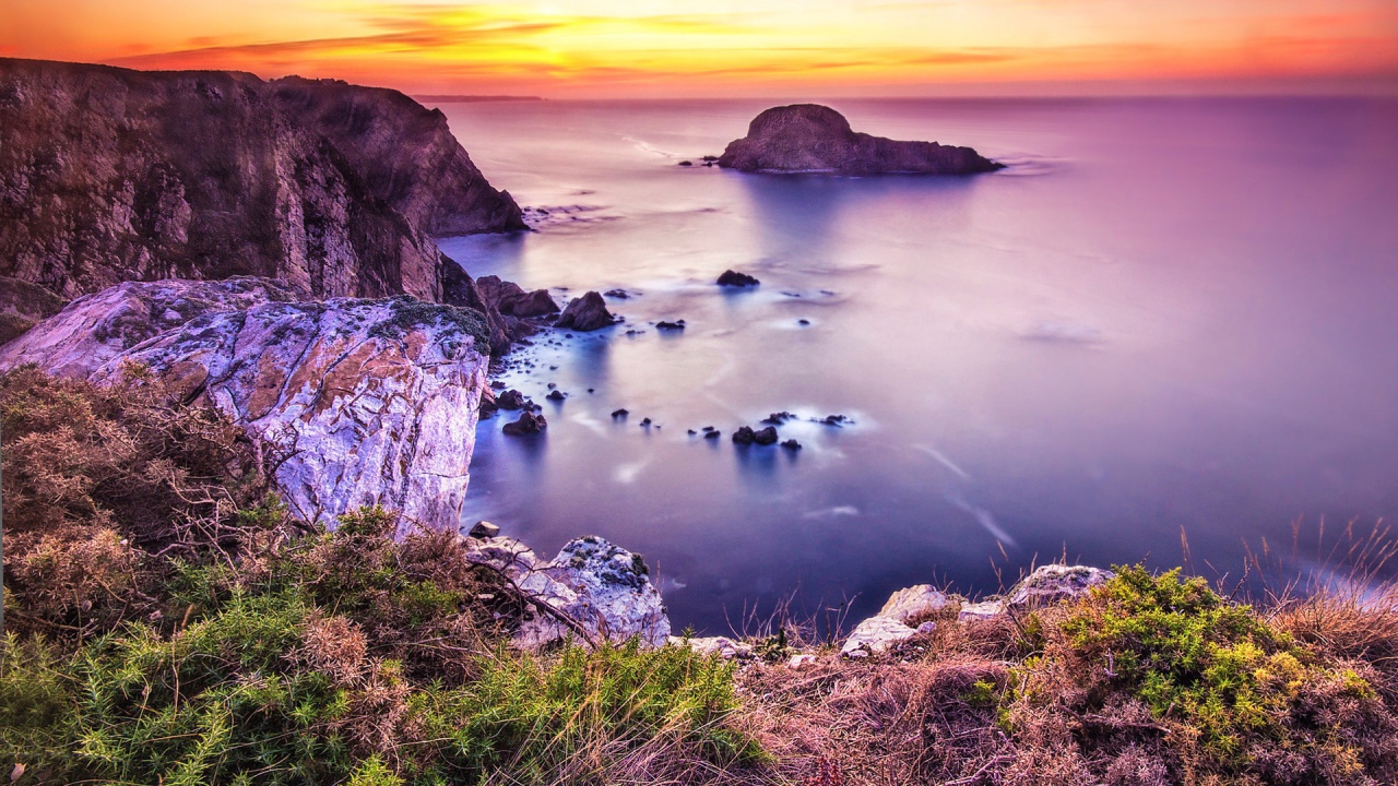 Розовая природа