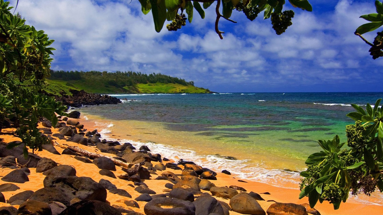 Пляж на Гавайях 