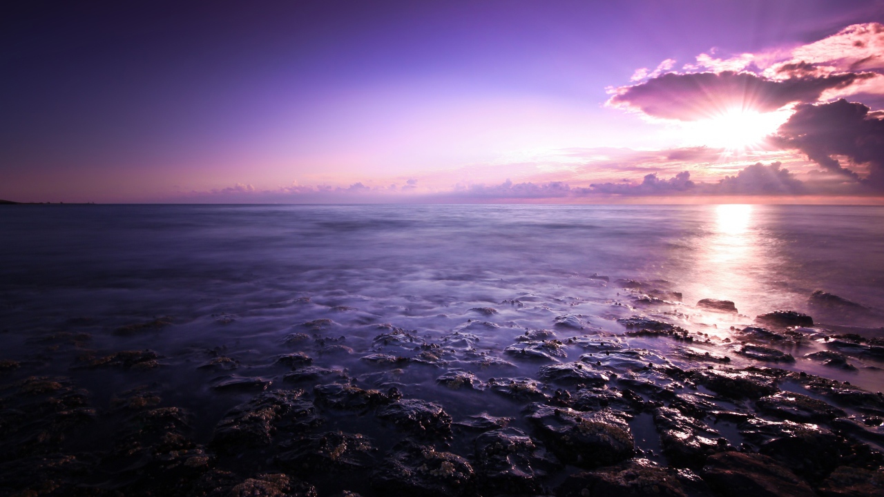 Purple seascape