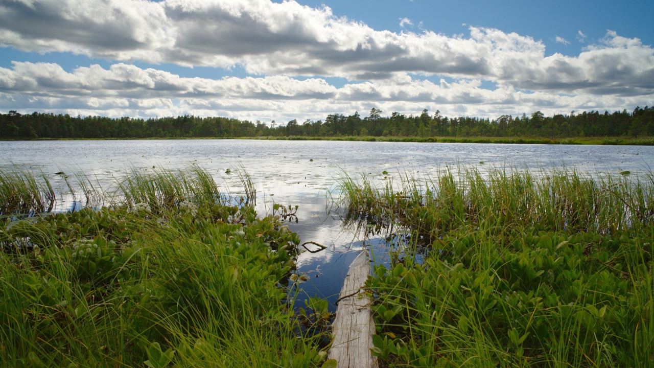 Облака над озером