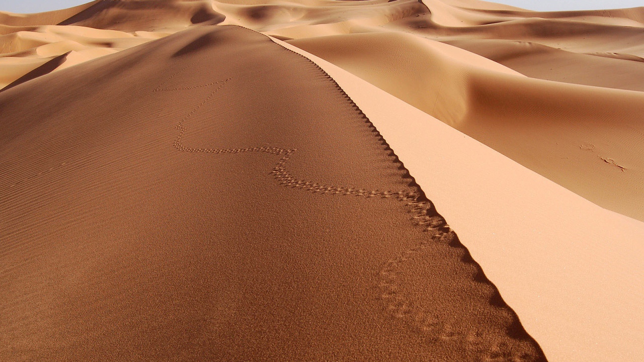 Следы на песке в пустыне