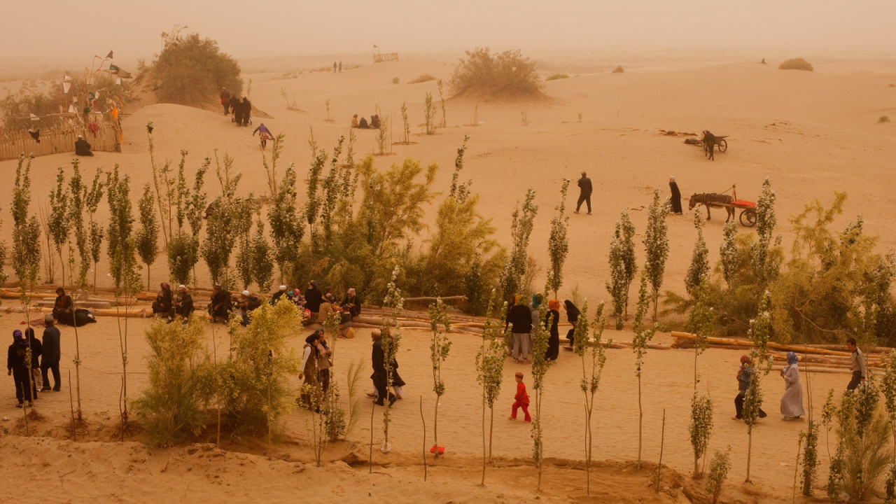 Жизнь в пустыне