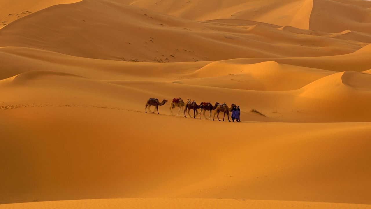 	   Morocco Sahara desert