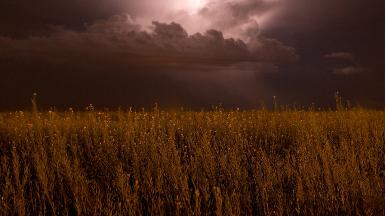 На поле надвигается гроза