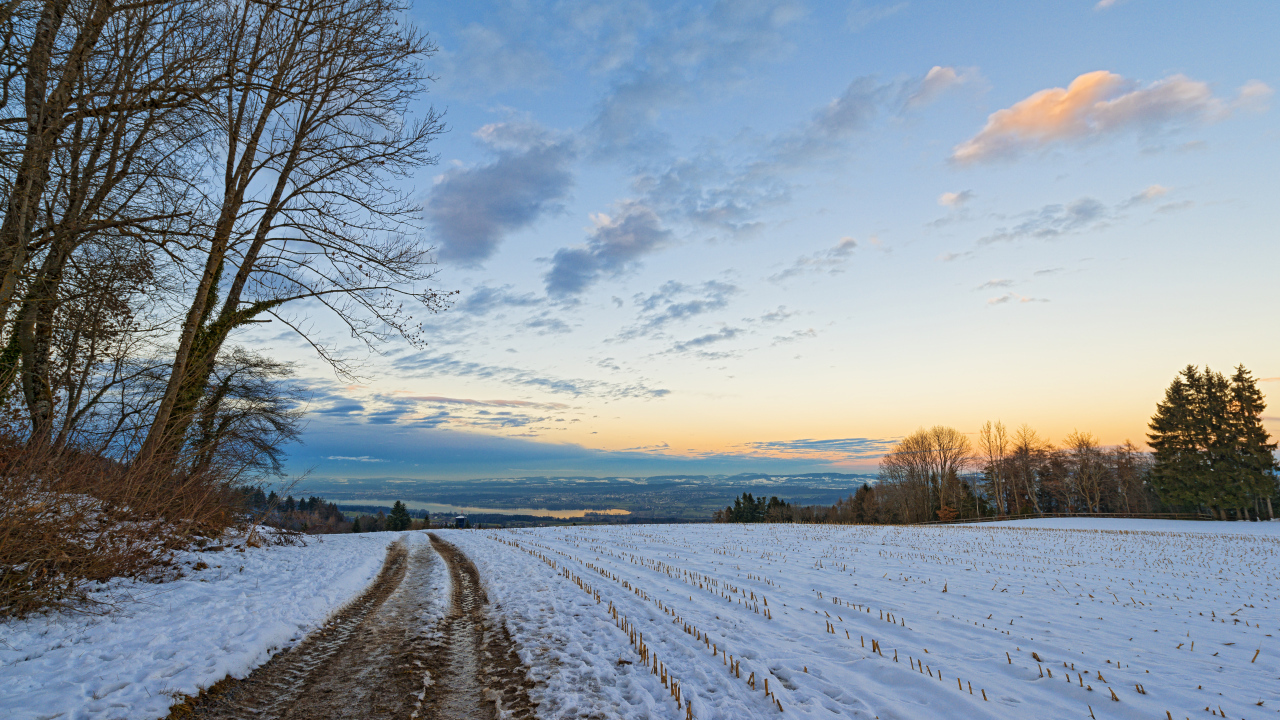 Дорога в зимнем поле