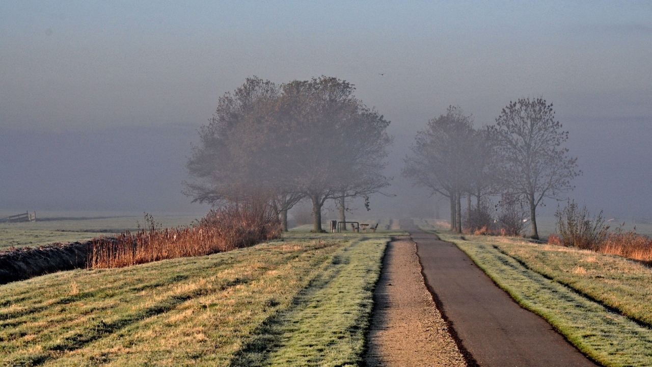 Дорога ведущая в туман