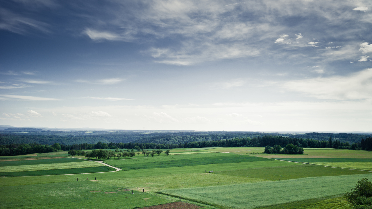 Поля и леса до горизонта