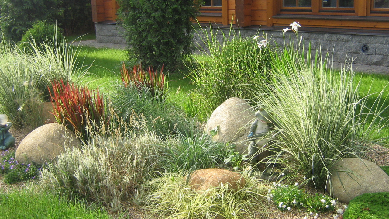 Красивая альпийская горка возле дома