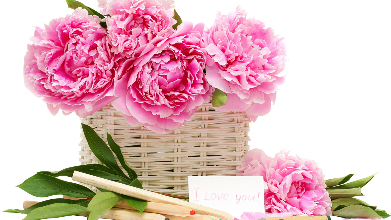 Красивый рисунок цветы пионы