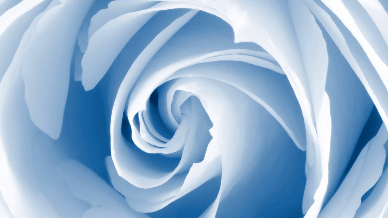 Голубой цветок