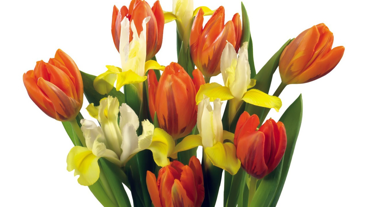 Букет тюльпанов и других цветов