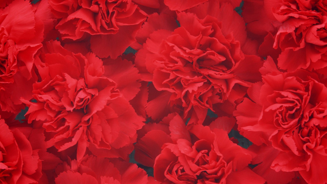 Цветочный фон