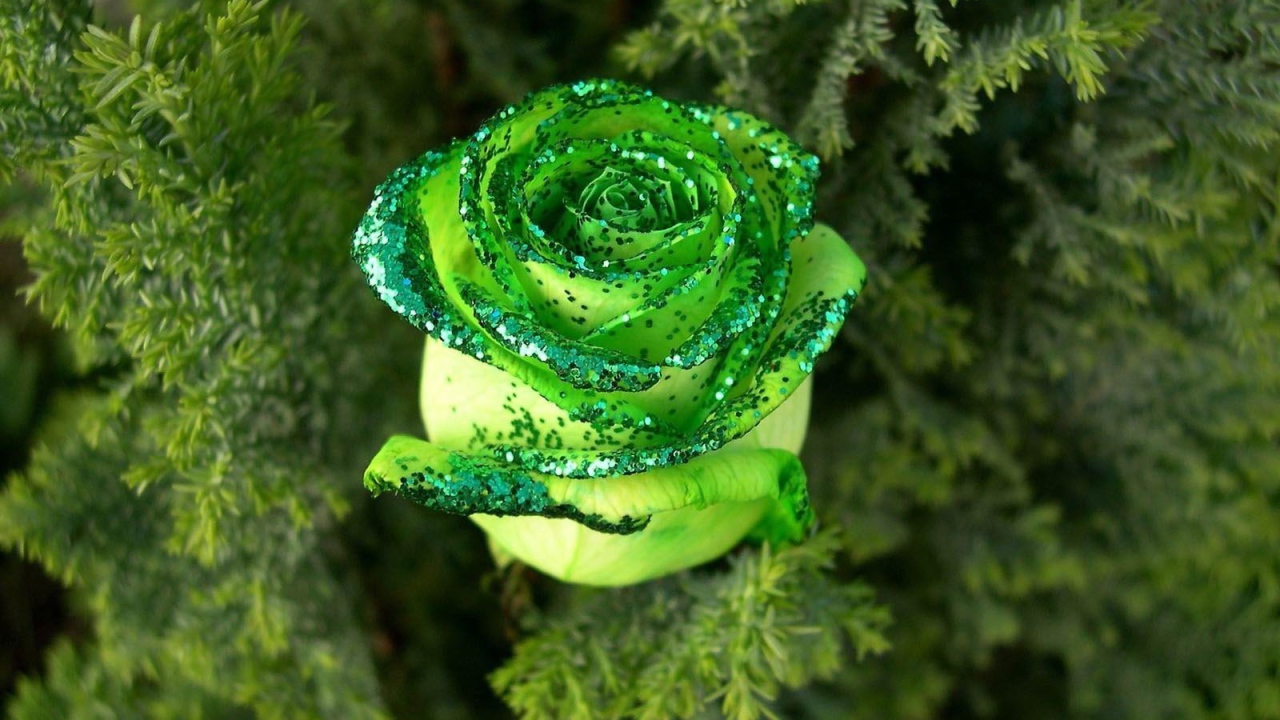 Цветок на ёлке