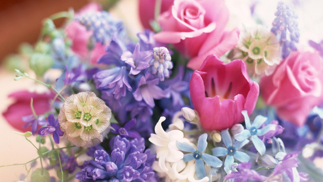 Декоративные цветы