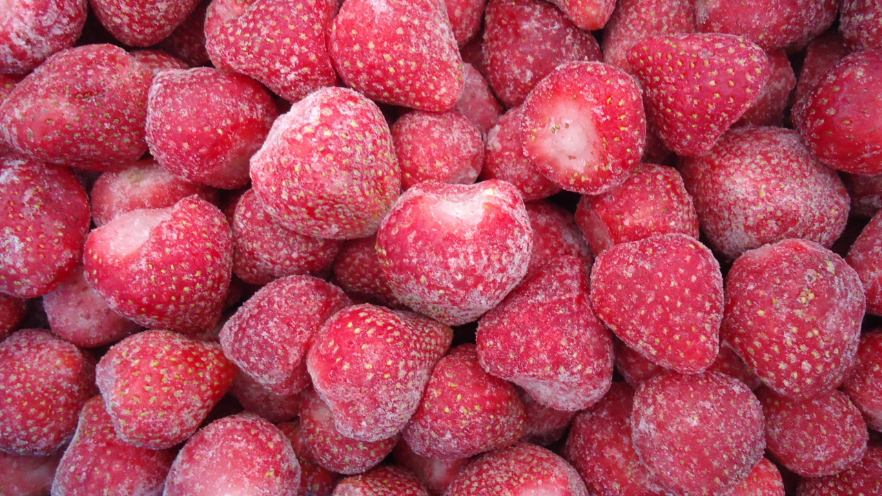 Плоды растения восковник