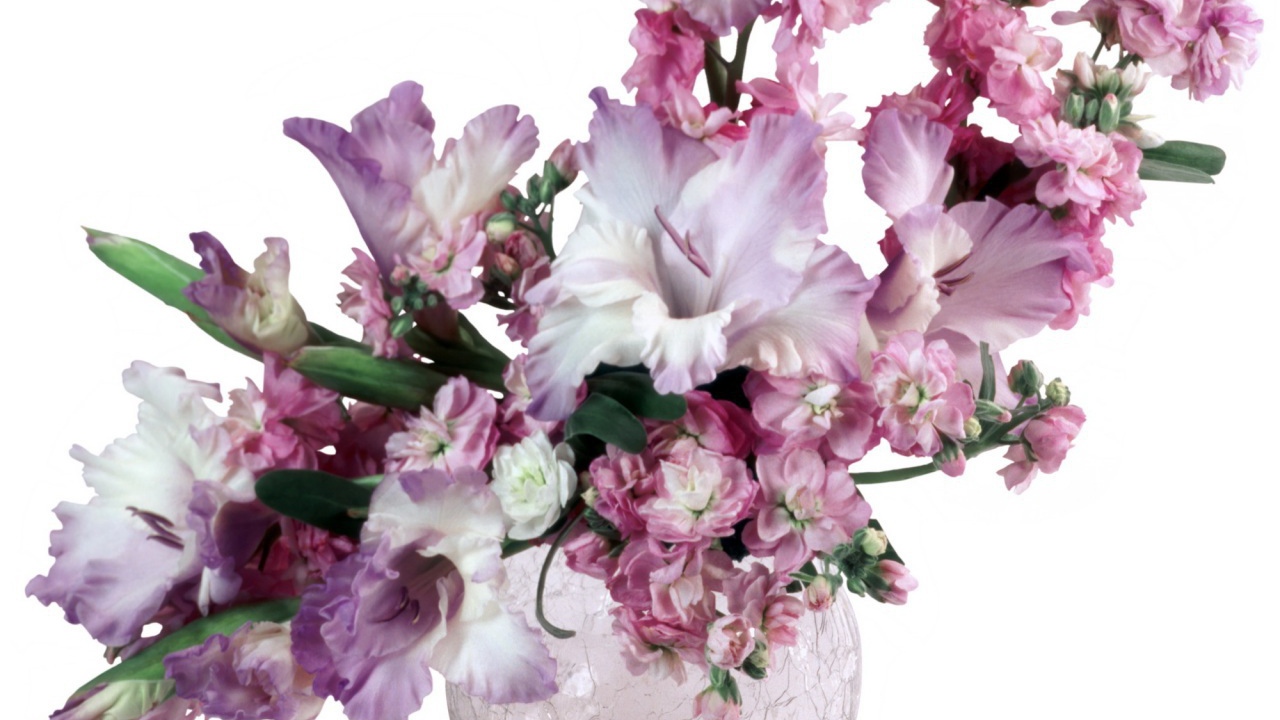 Сиреневые гладиолусы в вазе