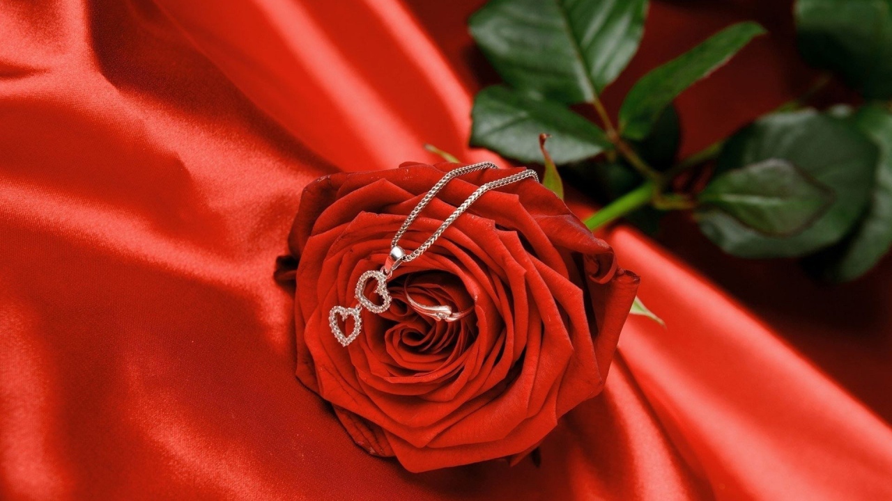 Red rose and pendant