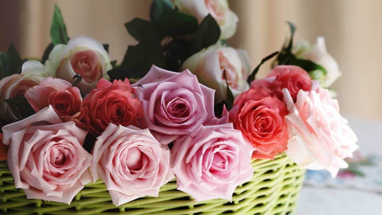 Розы в корзине